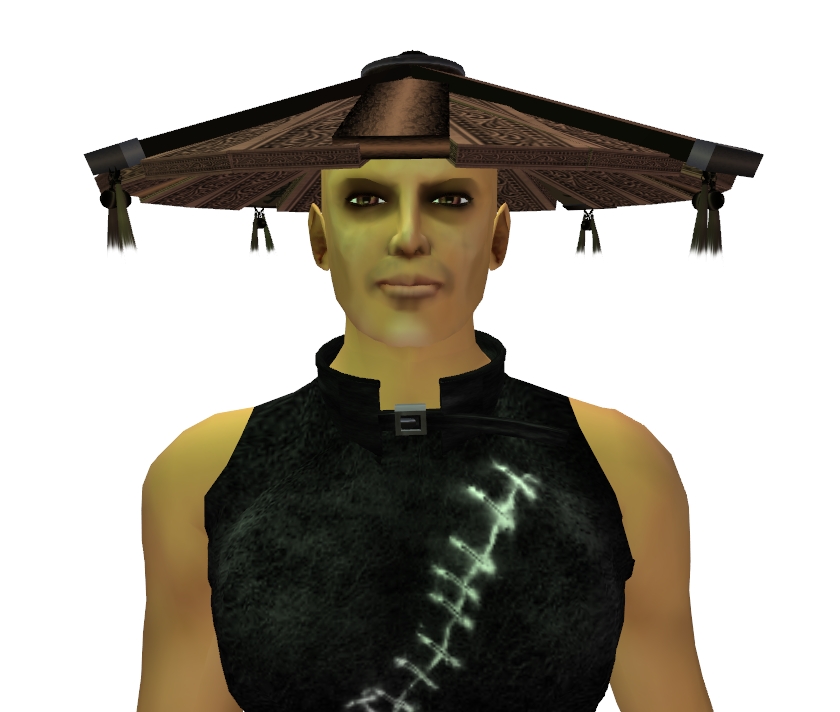[Snapshot_4567A.jpg]