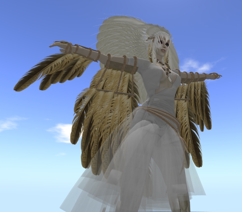 [Snapshot_5053A.jpg]