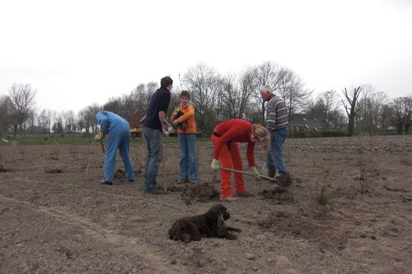 [boomplantdag[3].jpg]