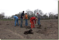 boomplantdag