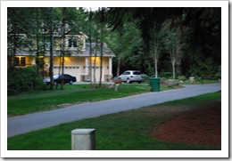 DSC_0026