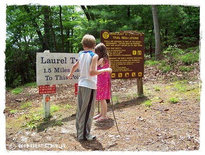 Beginning of Laurel Trail