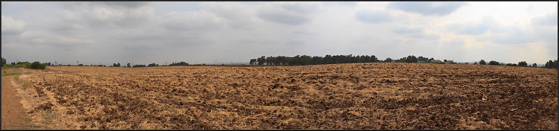 Фото: Панорама: Израильский чернозем