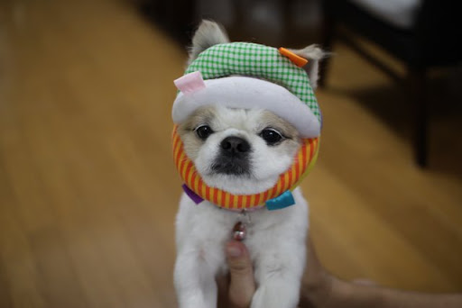 犯人の写真 犯人の写真
