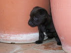Immagine 007.jpg