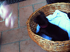 DSCF0885.JPG