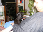 DSCF0709.JPG