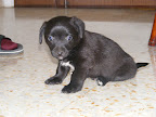 DSCF0712.JPG