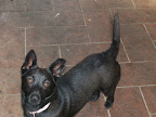 carlootta ancora mamma 018.jpg
