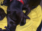 carlootta ancora mamma 008.jpg