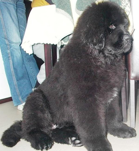Качена снимка