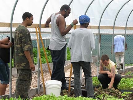 growing home greenhouse growing home greenhouse