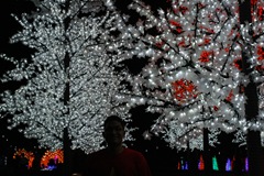 IMG_3216