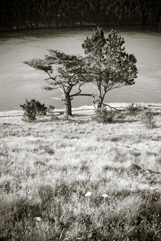 20100614-42