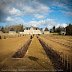 Le château du Coscro et son jardin à Lignol.