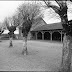 bothoa_nb_032.jpg