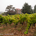 Domaine des Génaudières.