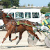 Course attelée à l'hippodrome de la baie du Kernic de Plouescat le 5 août 2010.