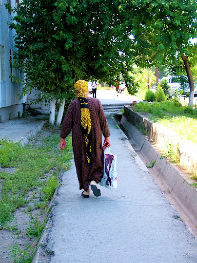 Туркменистан, июнь 2010. ТРАФФИК