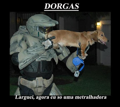 http://lh6.ggpht.com/_L9lfMsl4WIc/S8oaj3QsHRI/AAAAAAAAAK0/dsFyFM_PN-Q/s400/dorgas-e1271171101519.jpg