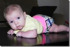SAM_0678 SAM_0678