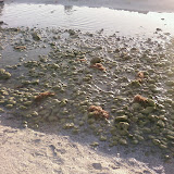 PIC-0123.jpg