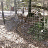 PIC-0108.jpg