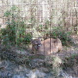 PIC-0098.jpg
