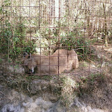 PIC-0099.jpg
