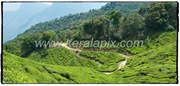 MNR_229_www.keralapix.com_DSC0261_DSC0262