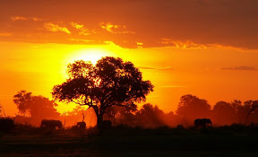 Tanzania: da Zanzibar al Tanganica