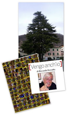 Riccardo Borzatta per i Cedri di Asso Riccardo Borzatta per i Cedri di Asso