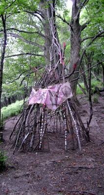 Stranezze nel Bosco