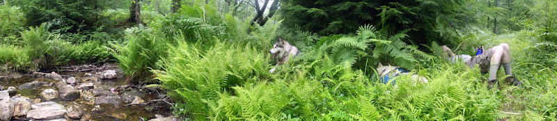 http://lh6.ggpht.com/_LCXRYkfBh8U/SIX80hBOTdI/AAAAAAAABkY/EVLOqkkfoQY/s800/tired%20end%20of%20hike%20nap.jpg