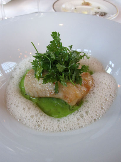 20100727-08.jpg