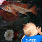 IMG_1982.JPG