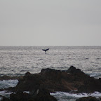 IMG_0686.JPG