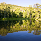 Pond1.jpg