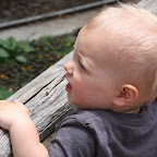 IMG_9400.JPG