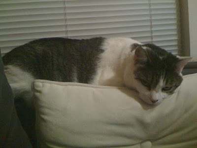 Boris being adorable