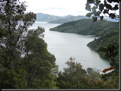 09-12-06-Queen Charlotte Track-2233