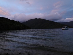 09-12-06-Queen Charlotte Track-2290
