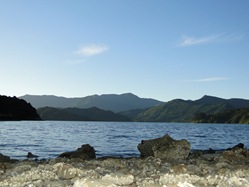 09-12-07-Queen Charlotte Track-2438