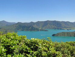 09-12-08-Queen Charlotte Track-2486