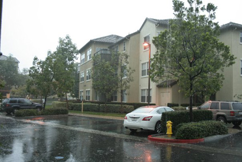 Rainy Day
