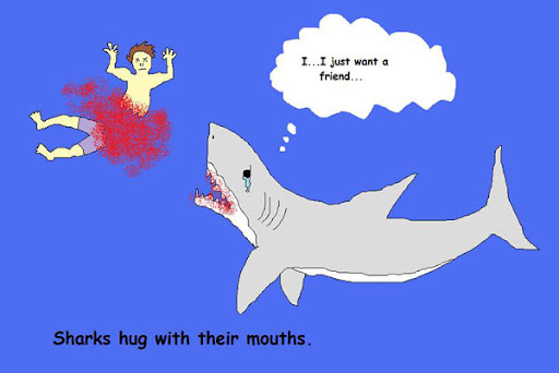 Hugging Shark