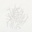 14_TREES.jpg