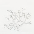 08_TREES.jpg
