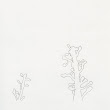 16_TREES.jpg
