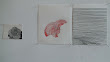 DSC00174.jpg